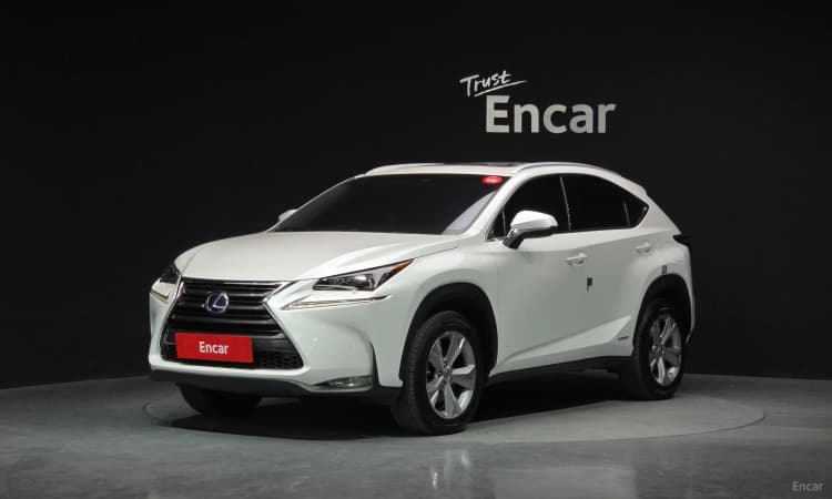 NX300h