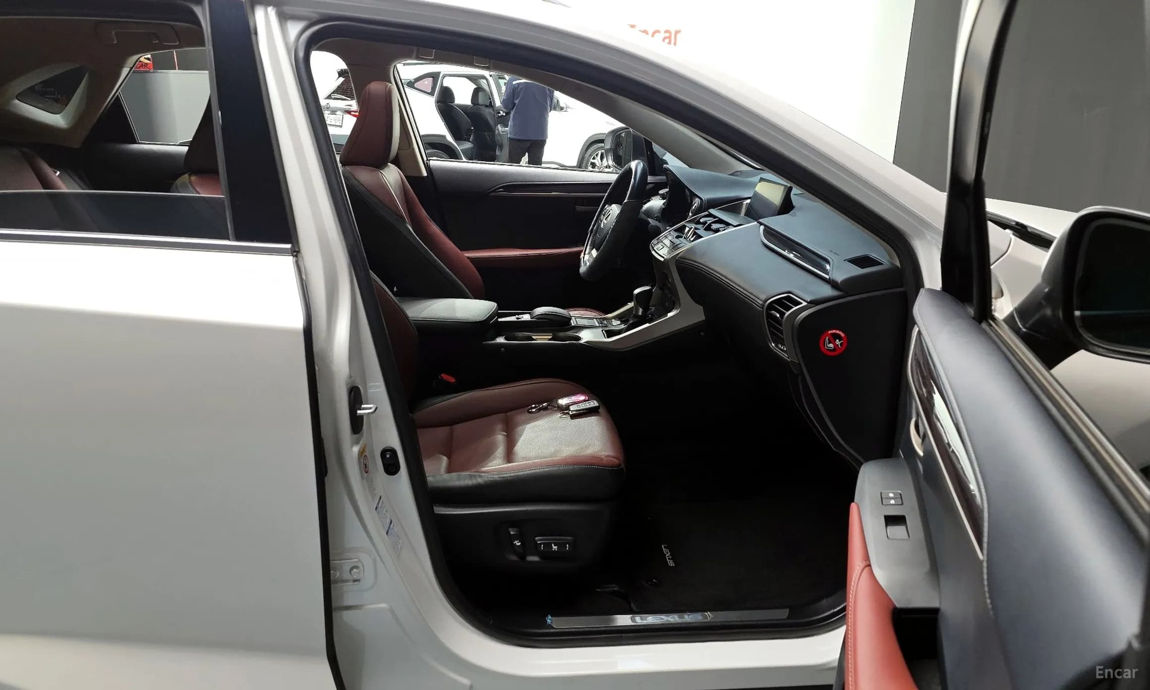 NX300h