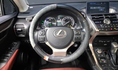 NX300h