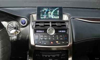 NX300h