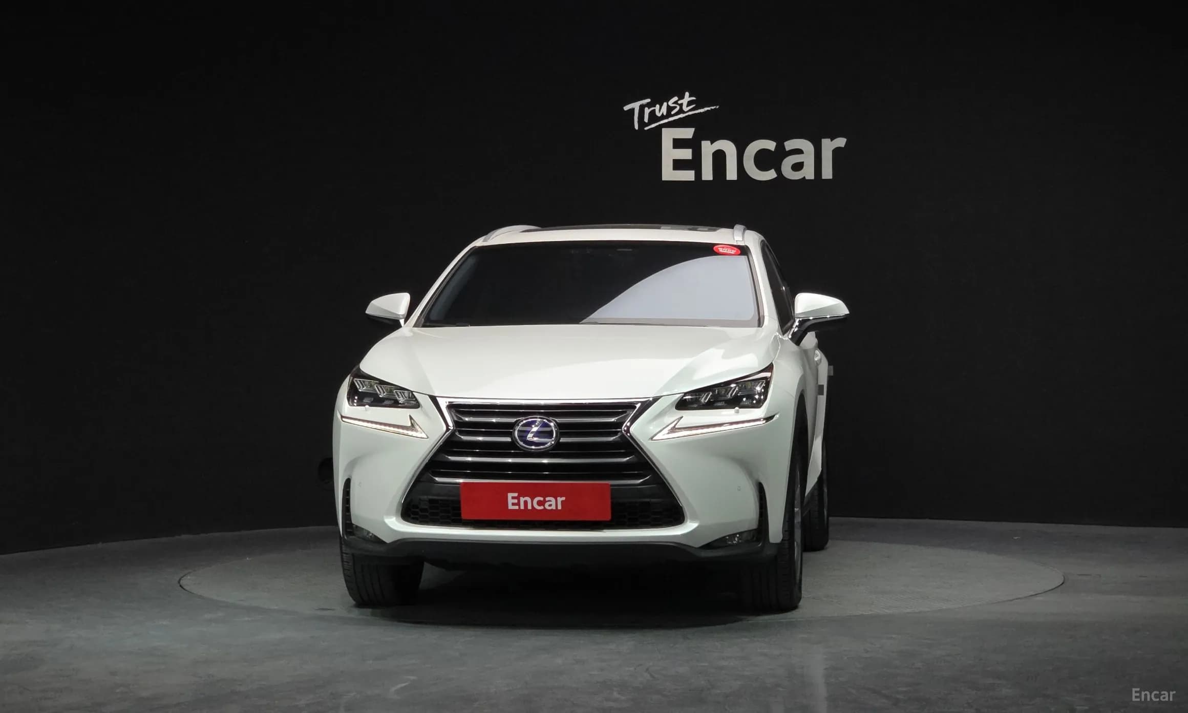 NX300h