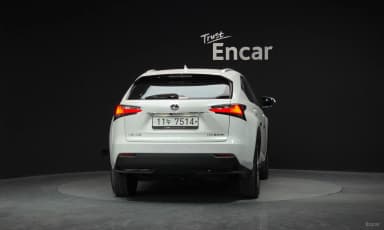 NX300h