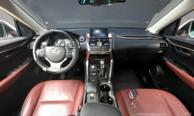 NX300h