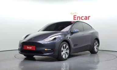 Model Y