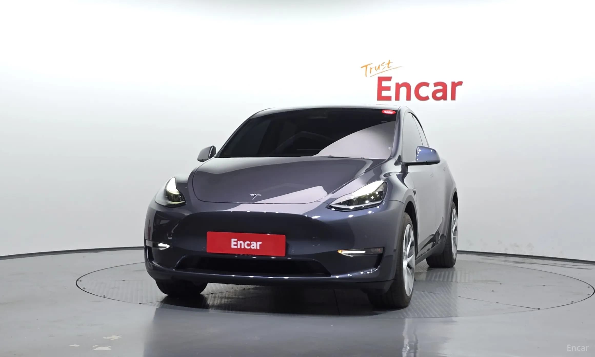 Model Y