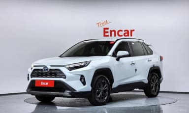 RAV4 5th Generation