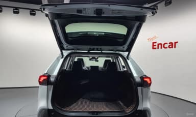 RAV4 5th Generation