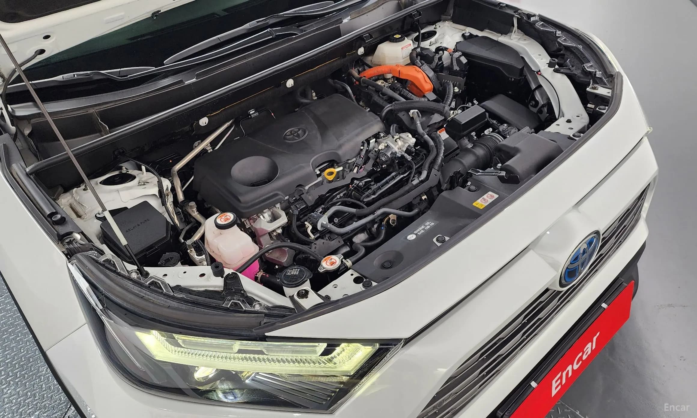 RAV4 5th Generation