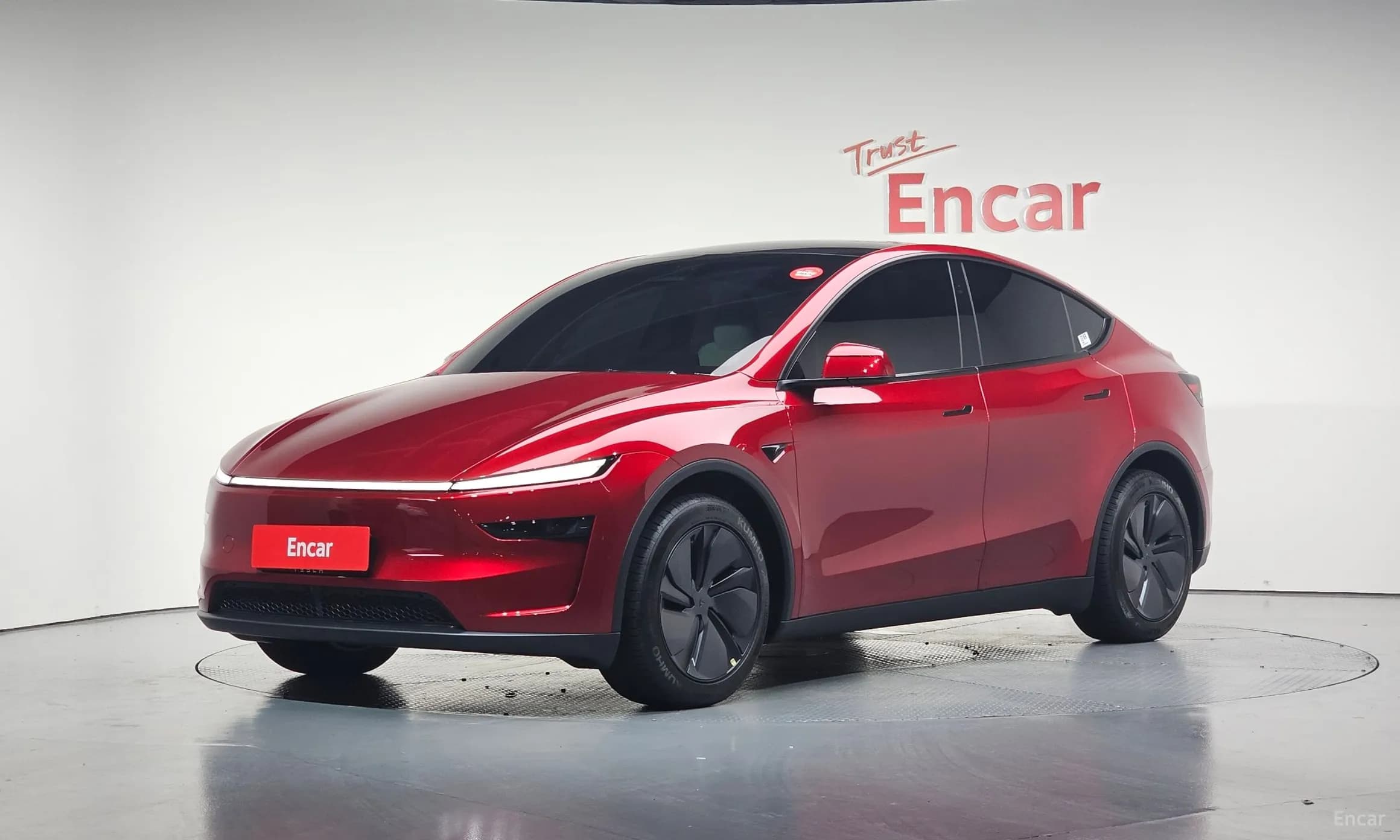 Model Y