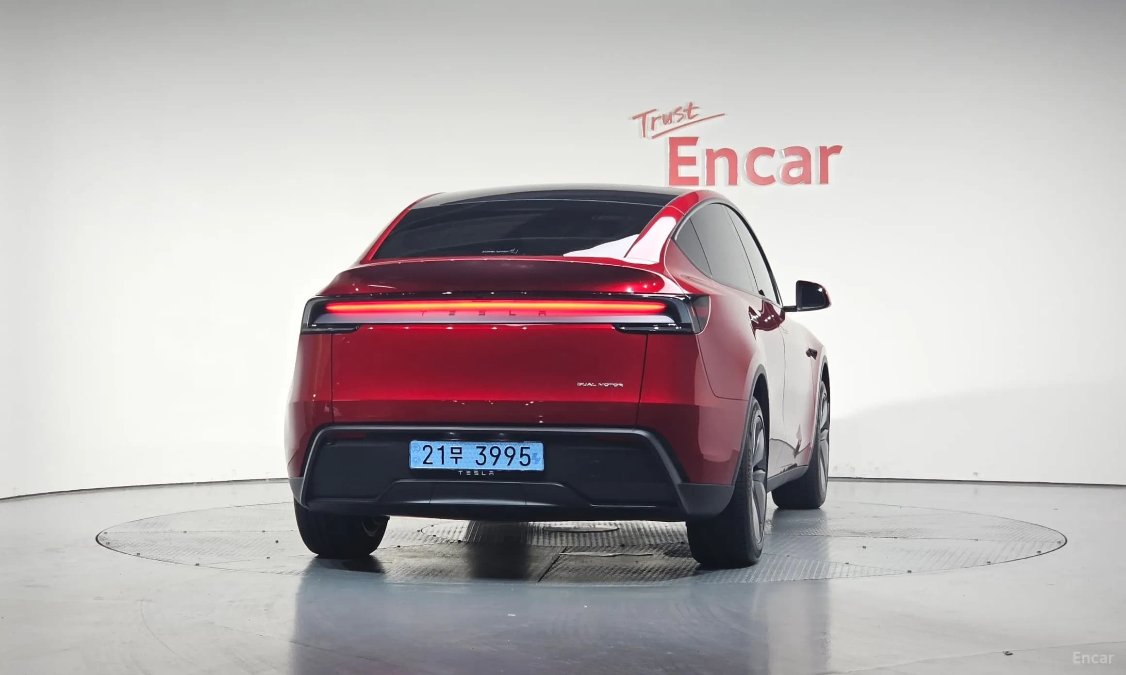 Model Y