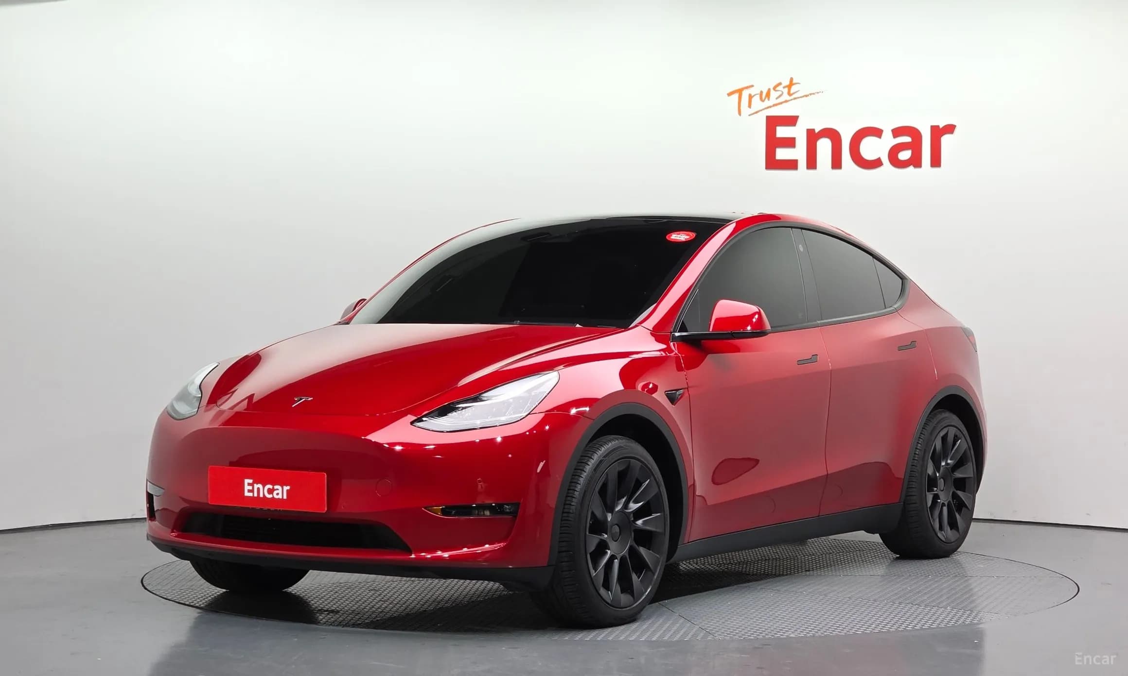 Model Y
