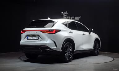 NX350h Gen 2