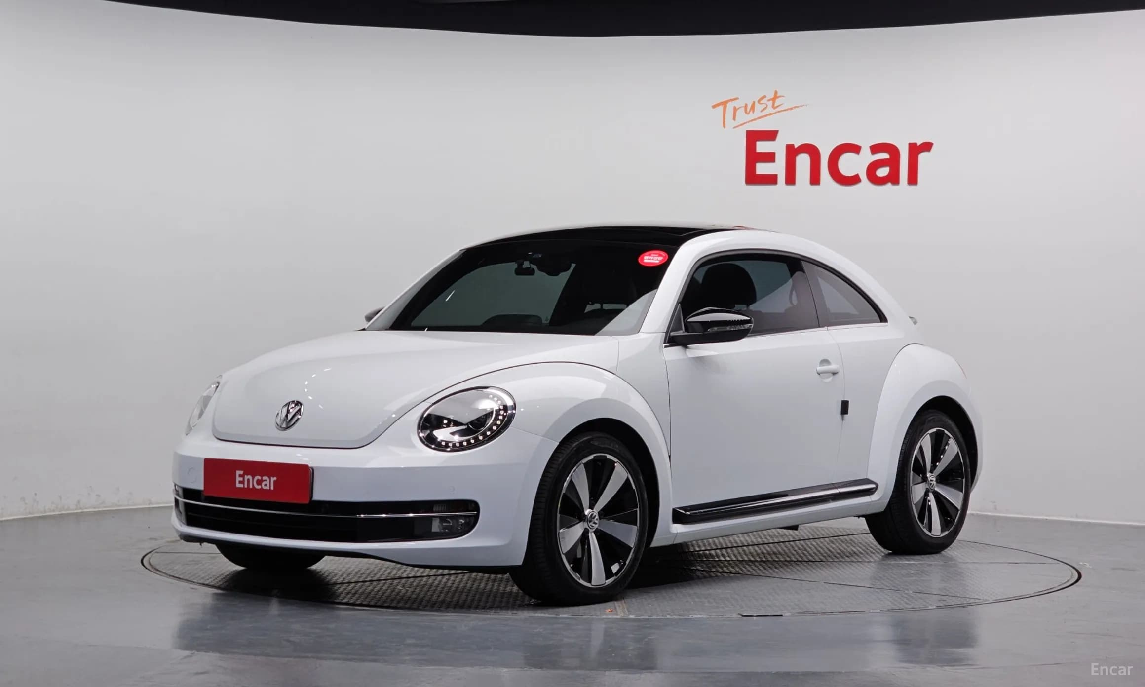 The Beetle