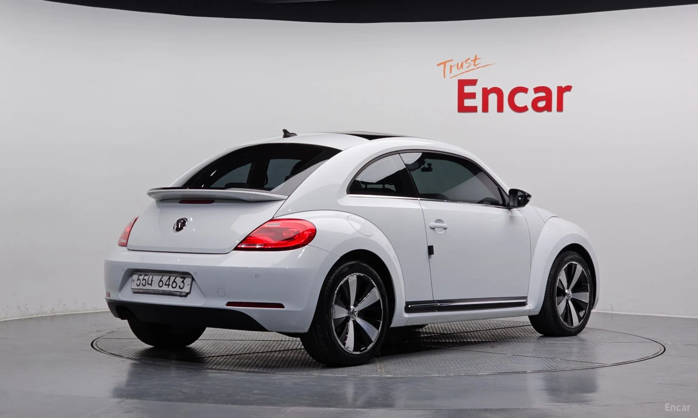 The Beetle