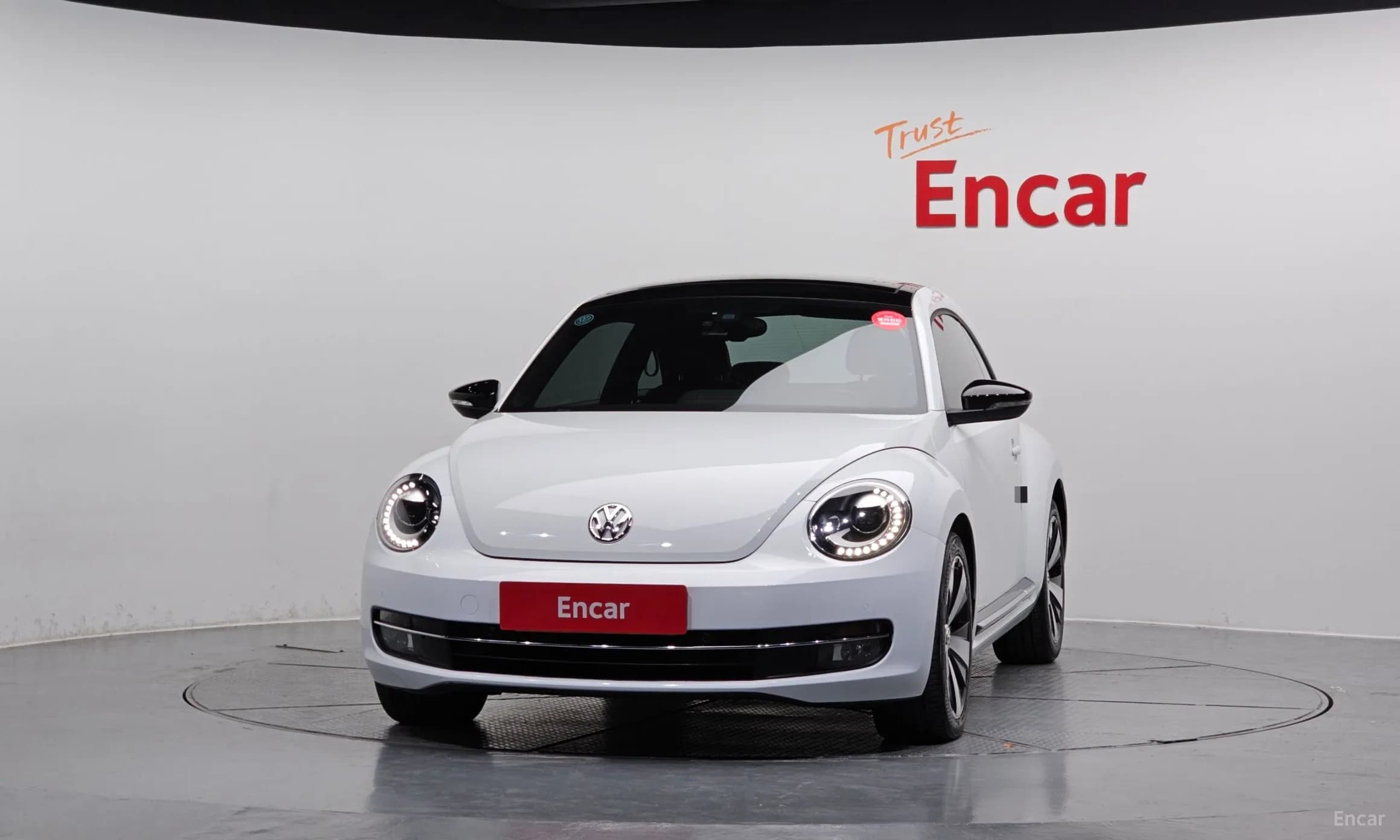 The Beetle