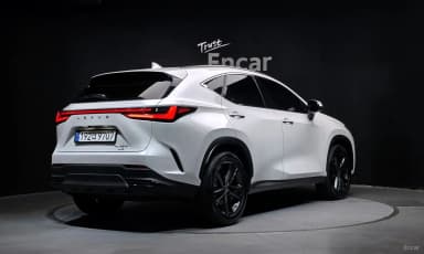 NX350h Gen 2