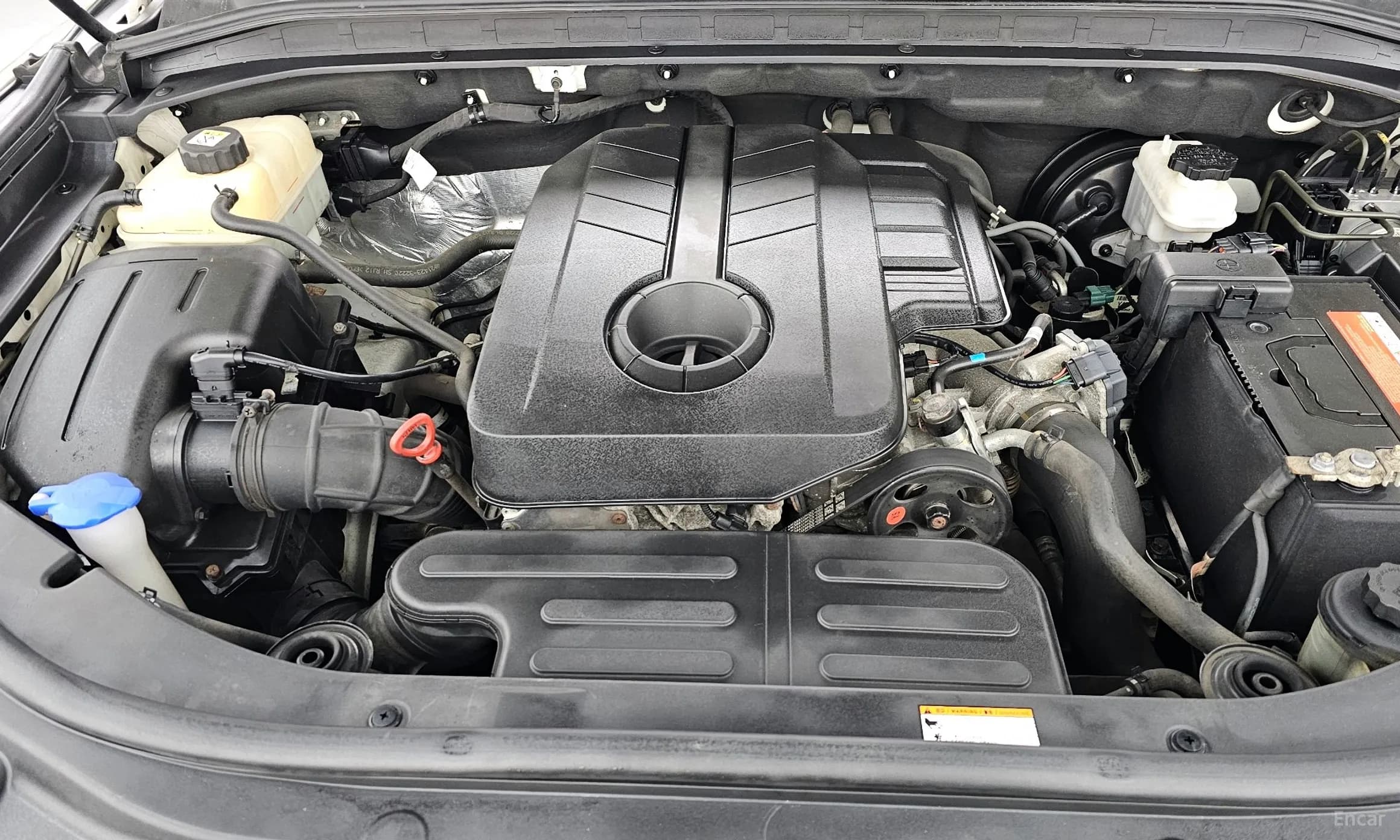 Rexton Sports