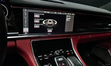 Panamera (971)