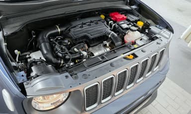 Renegade