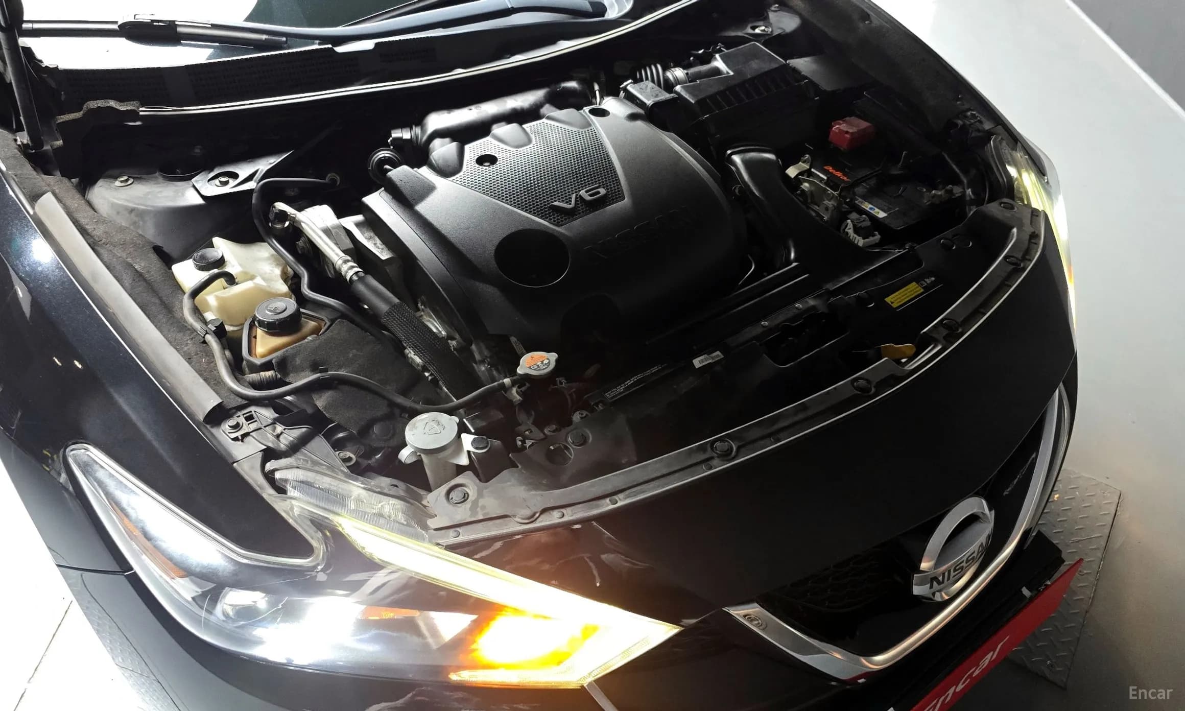 Maxima (A36)