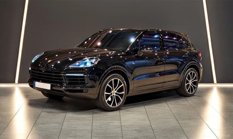 Cayenne (PO536)