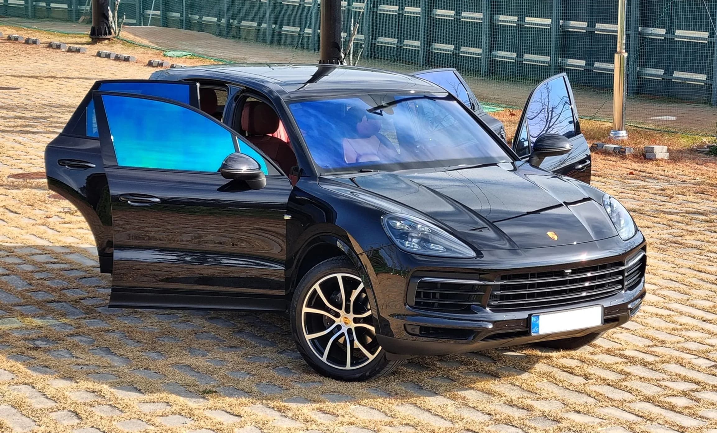 Cayenne (PO536)