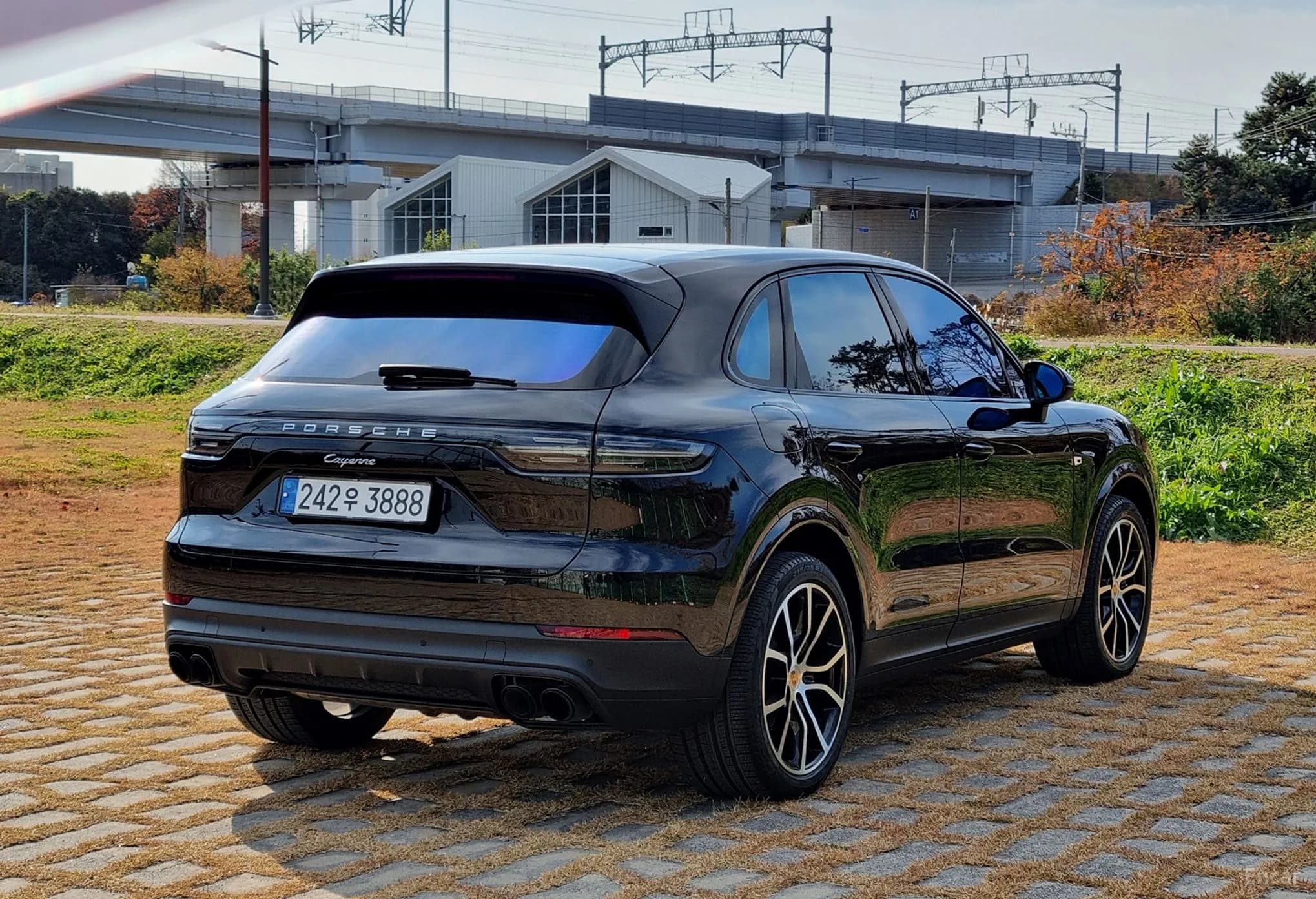 Cayenne (PO536)