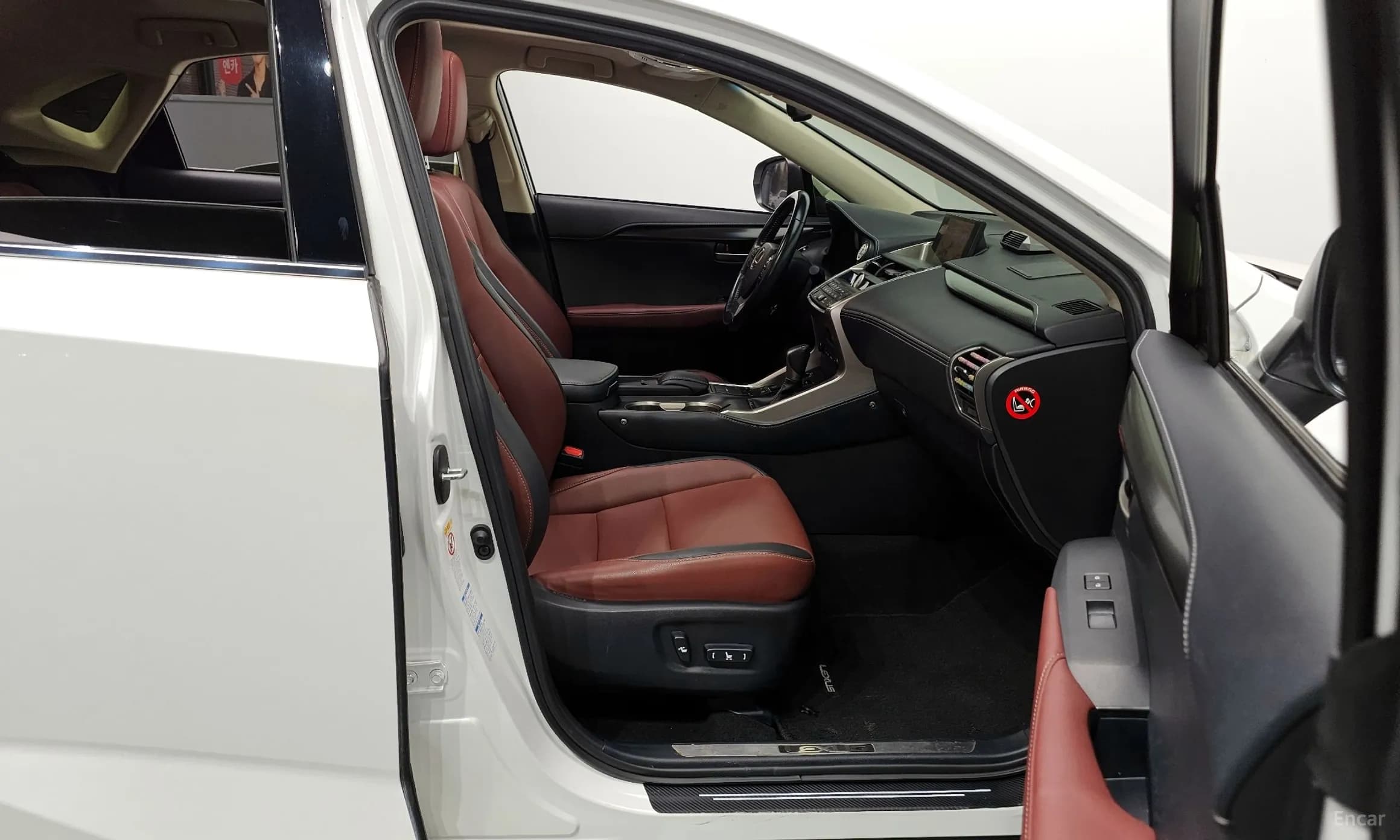 NX300h