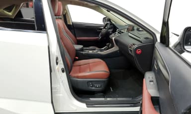 NX300h