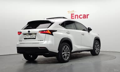 NX300h