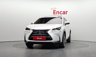 NX300h
