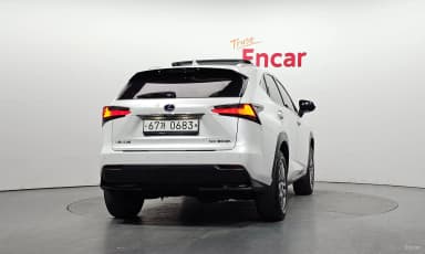 NX300h