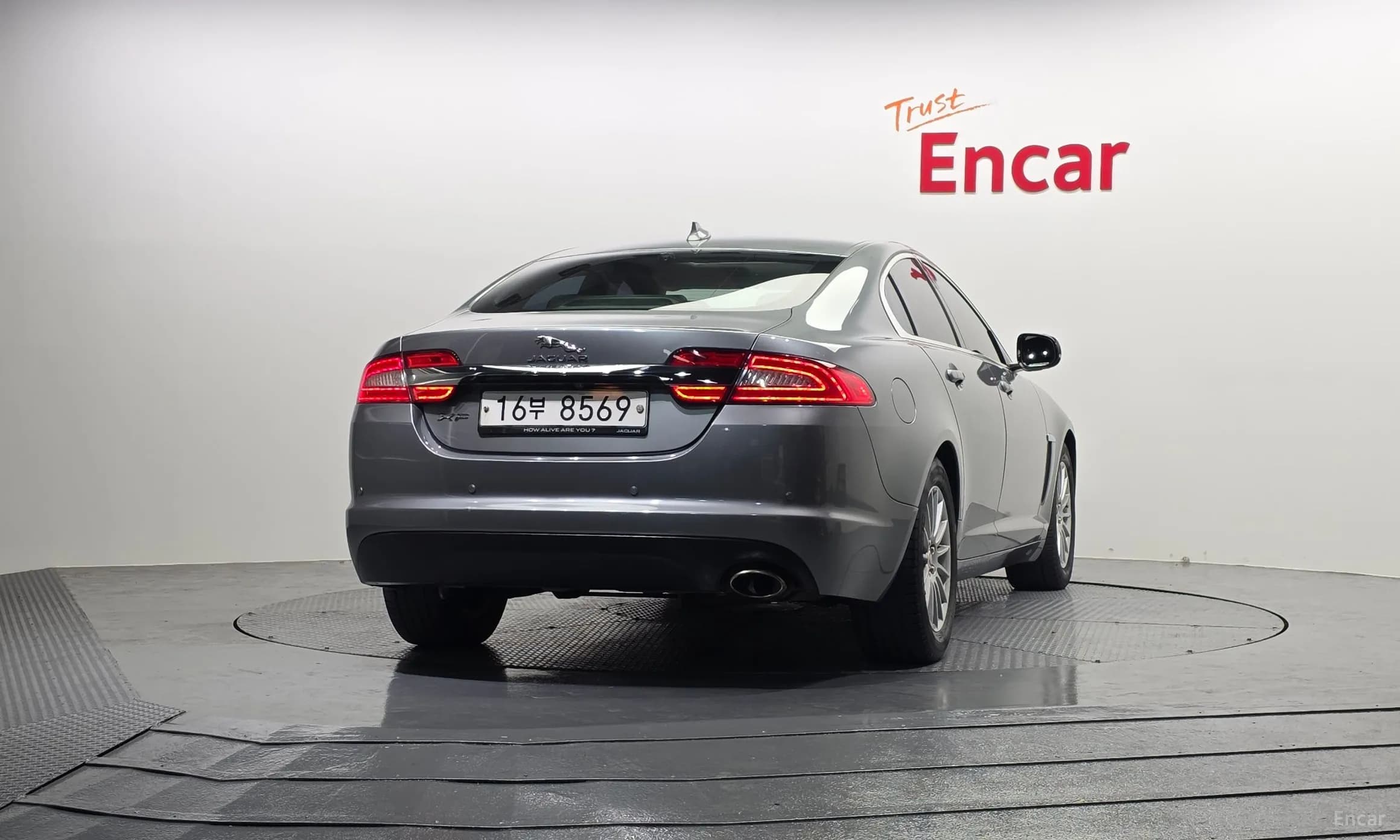 New XF