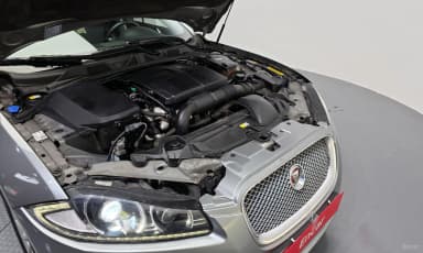 New XF