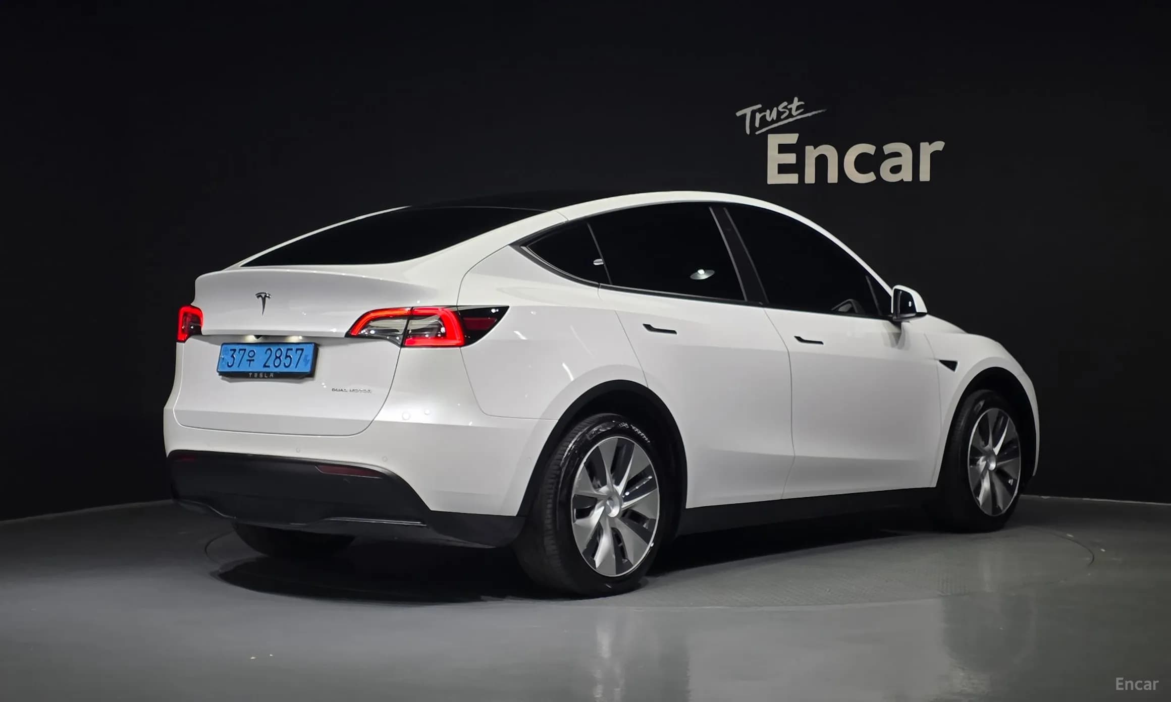 Model Y