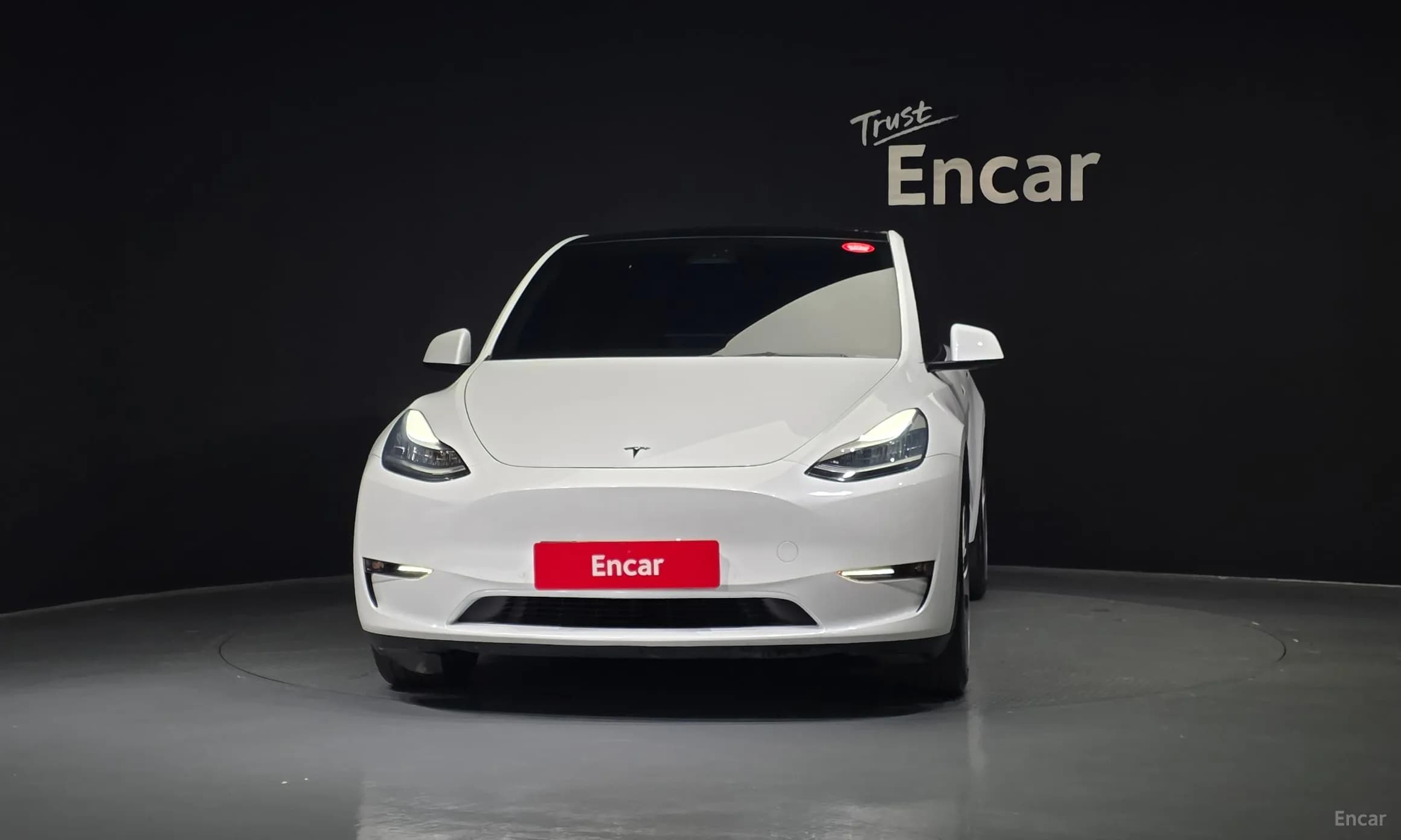 Model Y