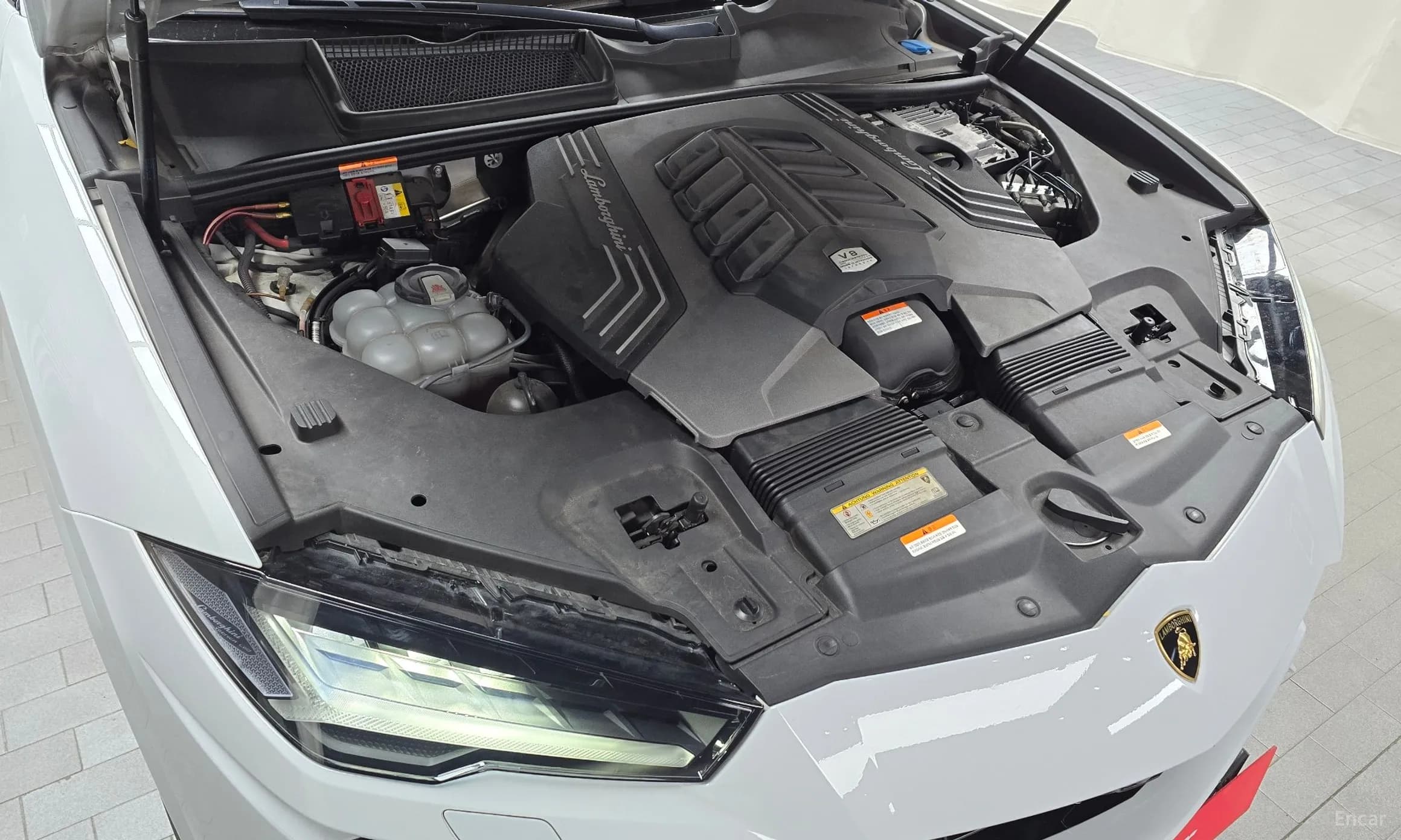 Urus