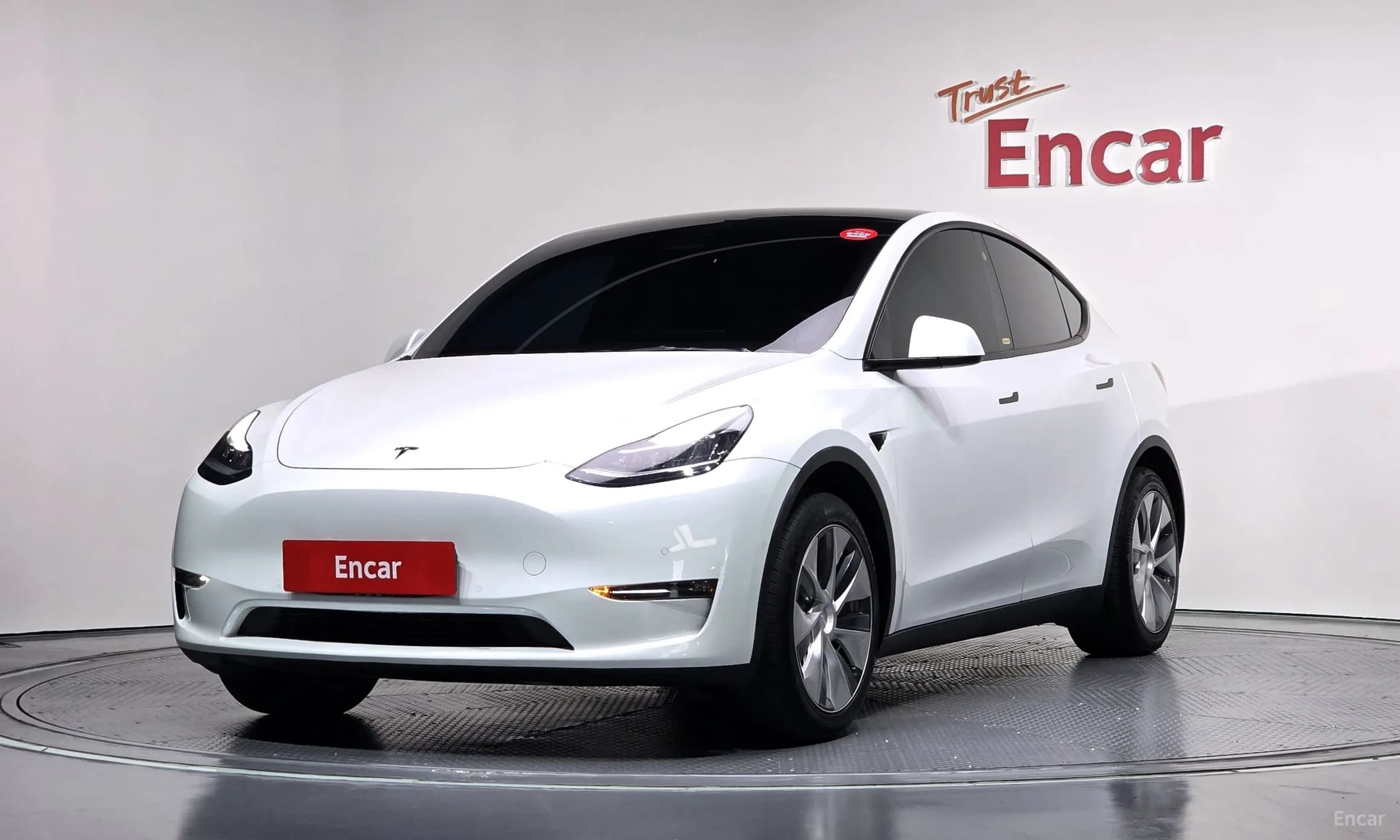 Model Y