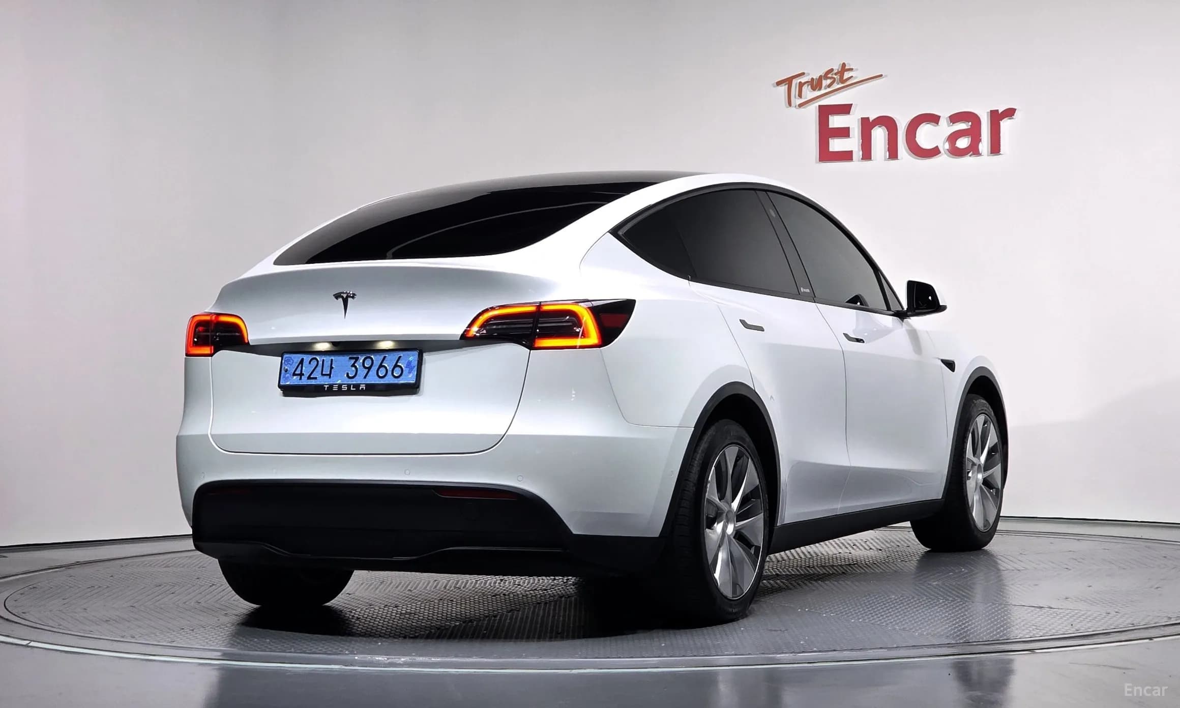Model Y