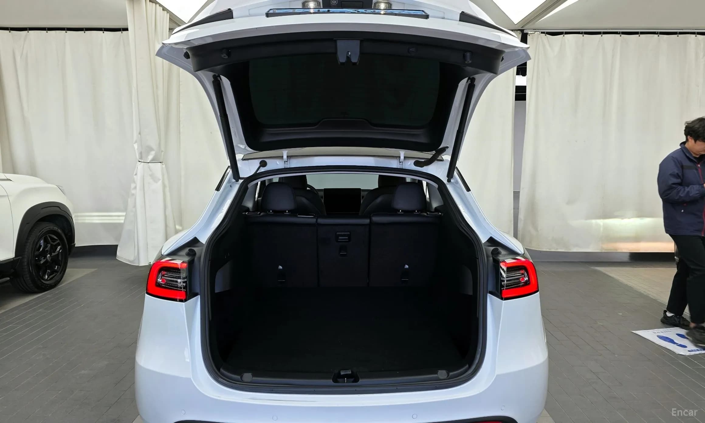Model Y