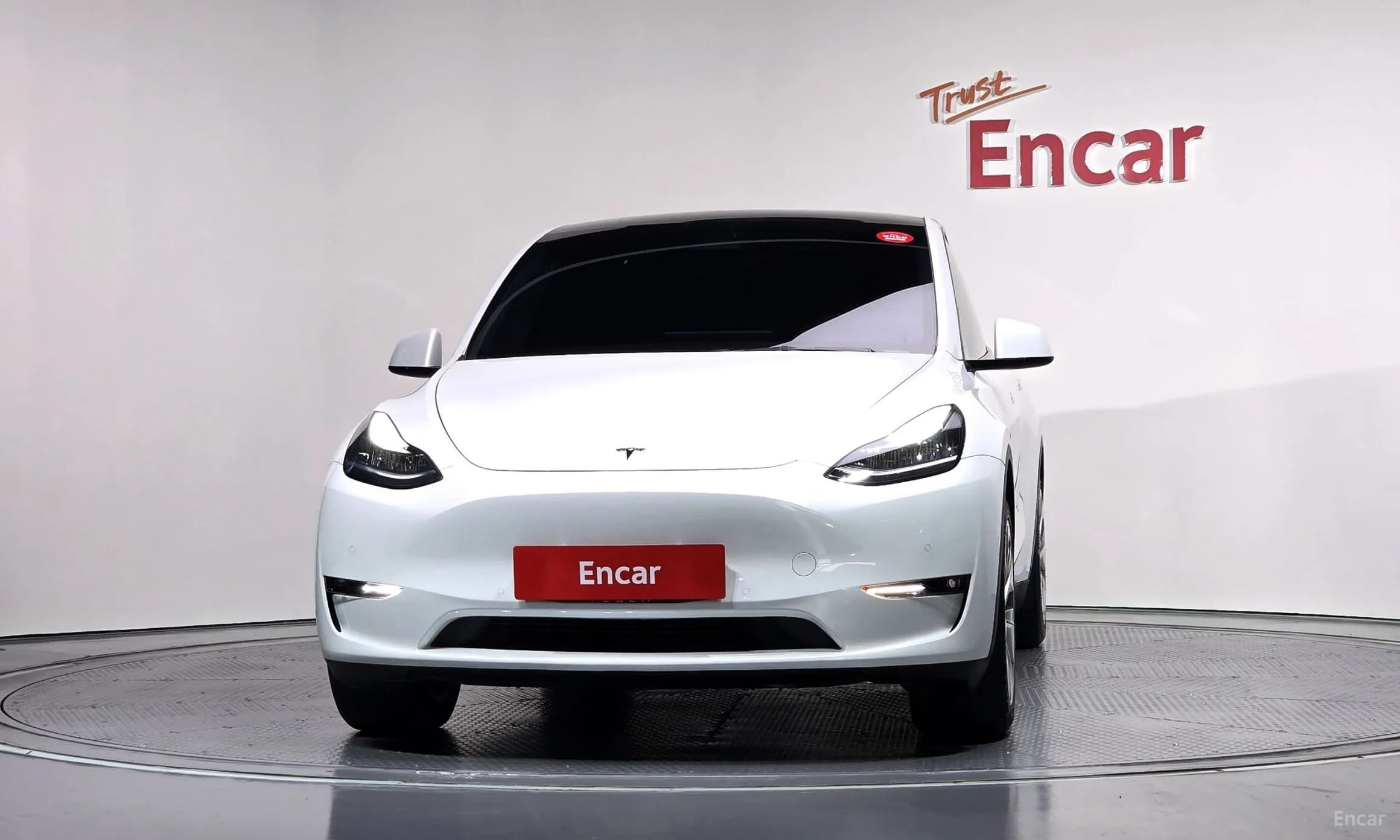 Model Y
