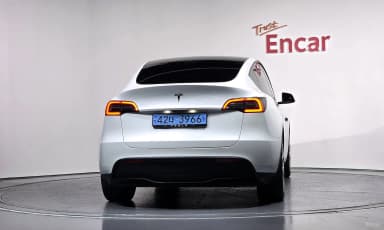 Model Y