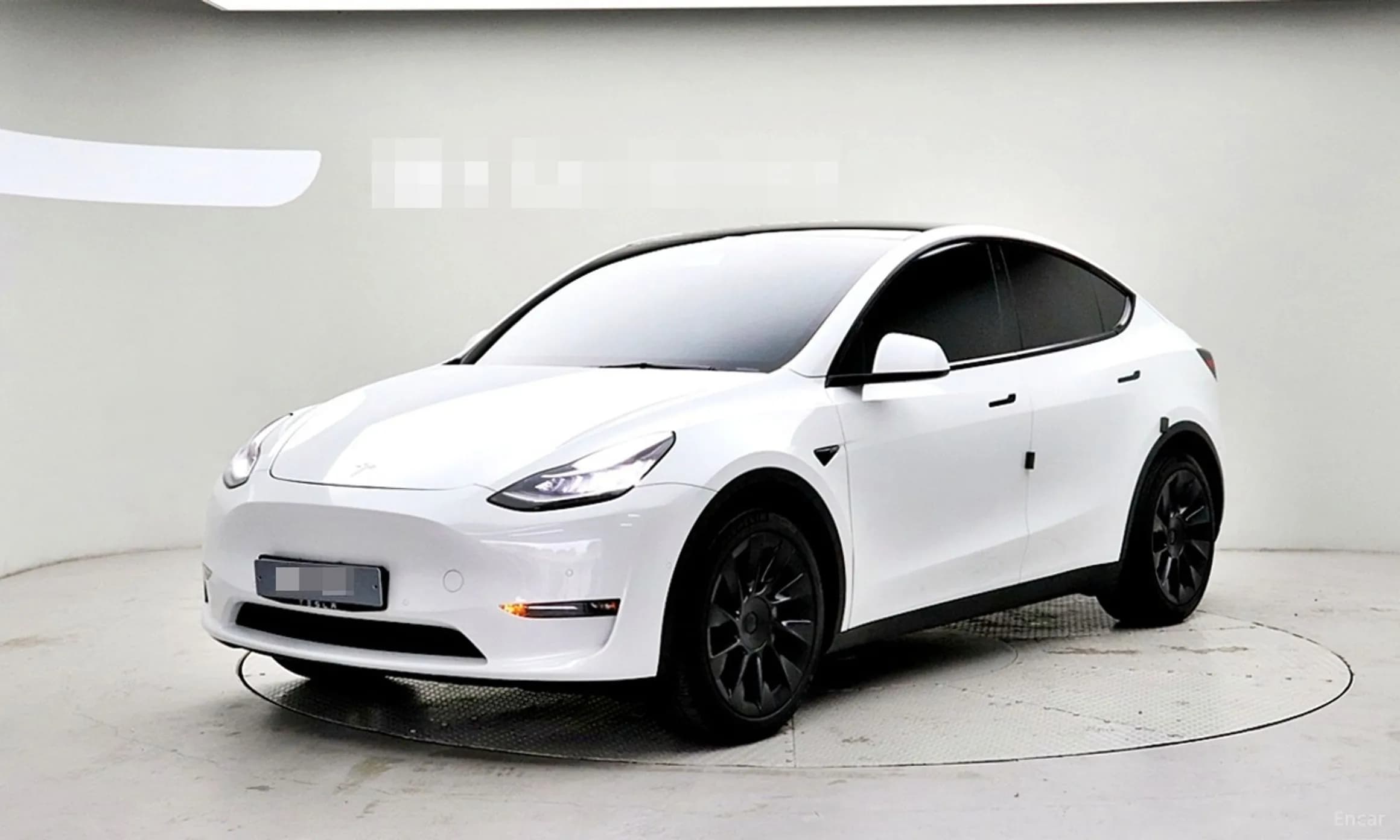 Model Y