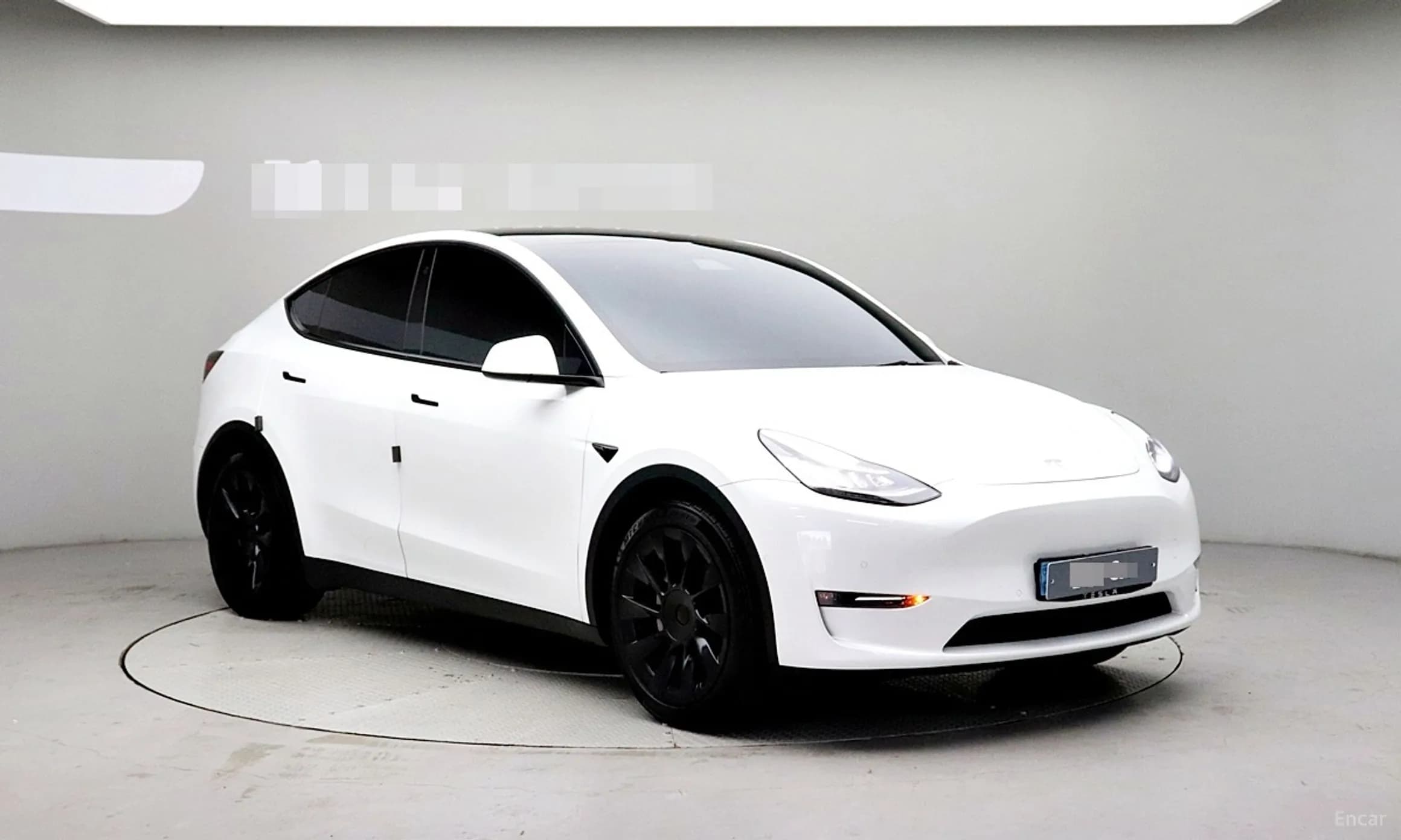 Model Y
