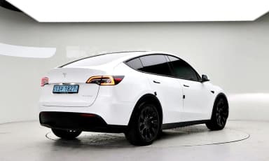 Model Y