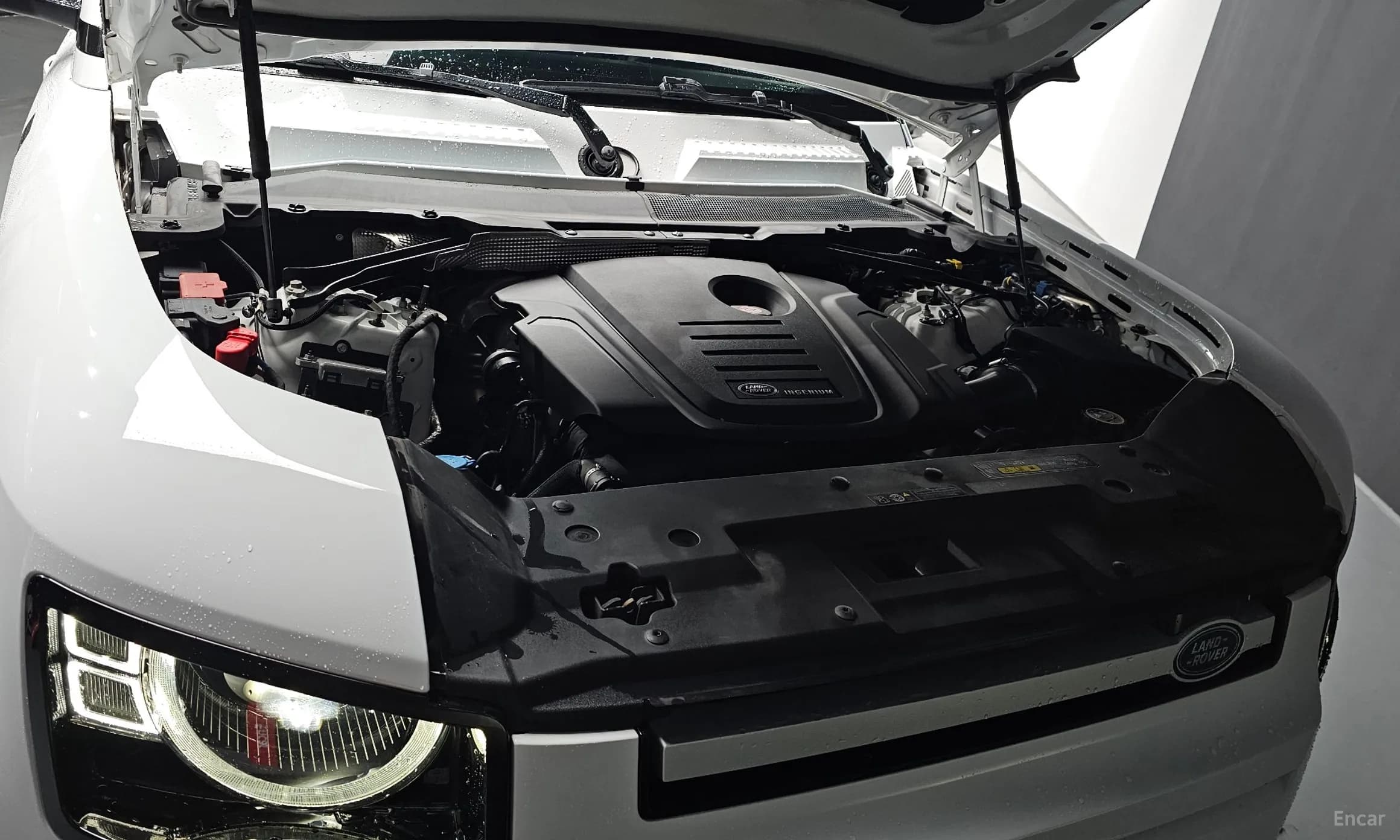 Defender (L663)