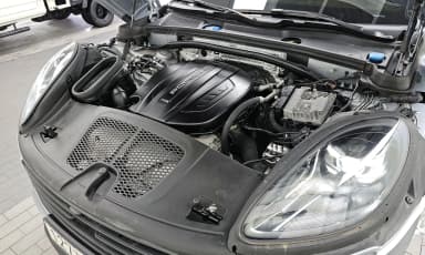 Macan