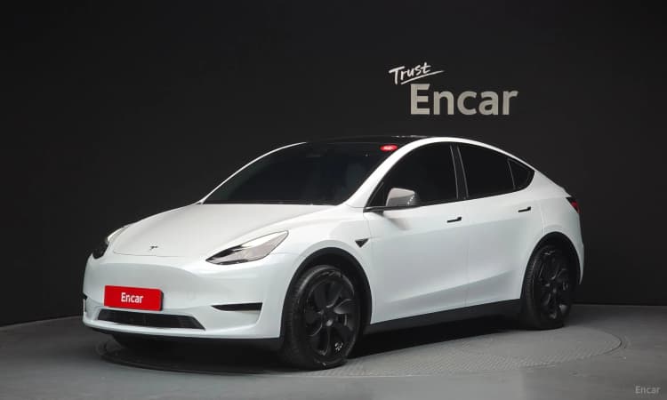 Model Y
