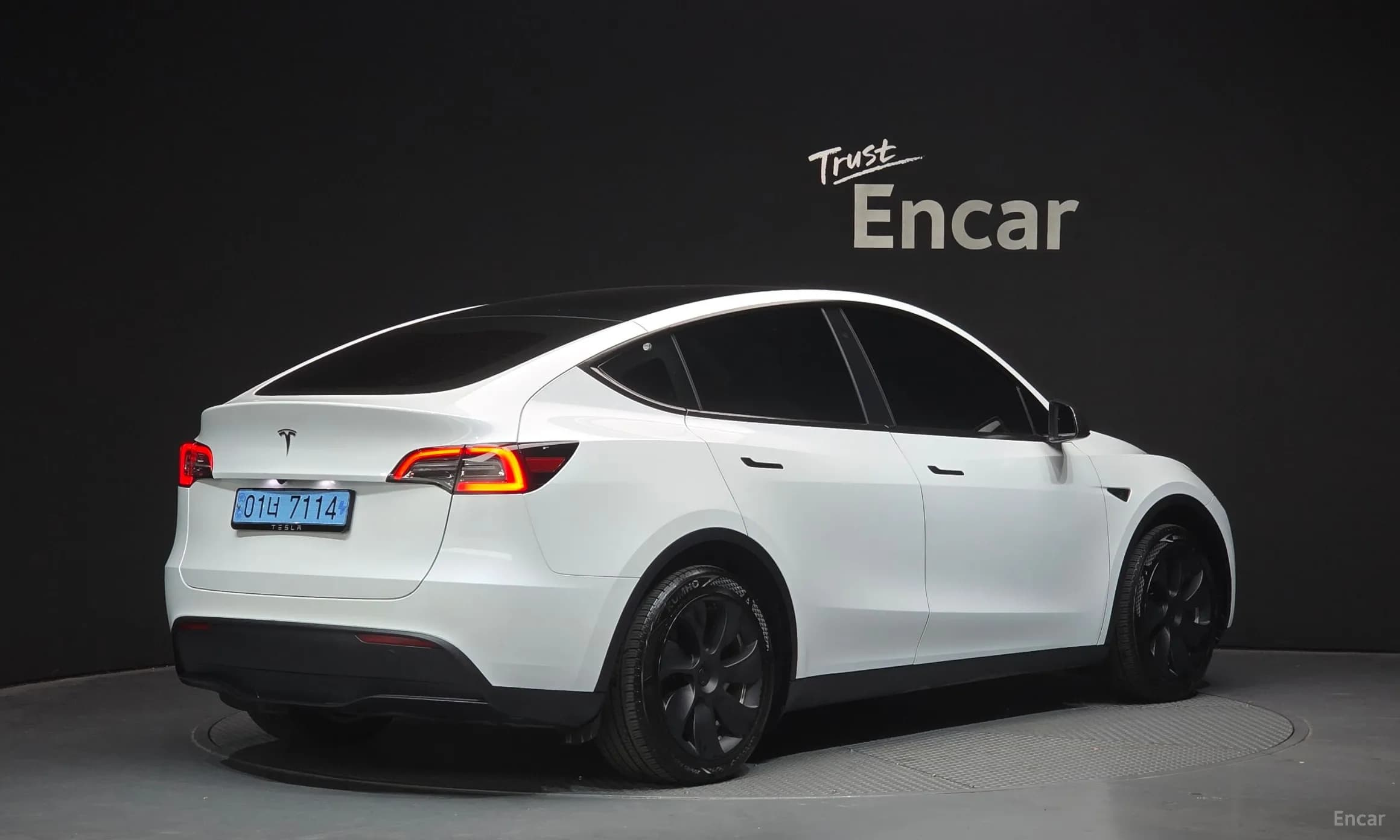 Model Y