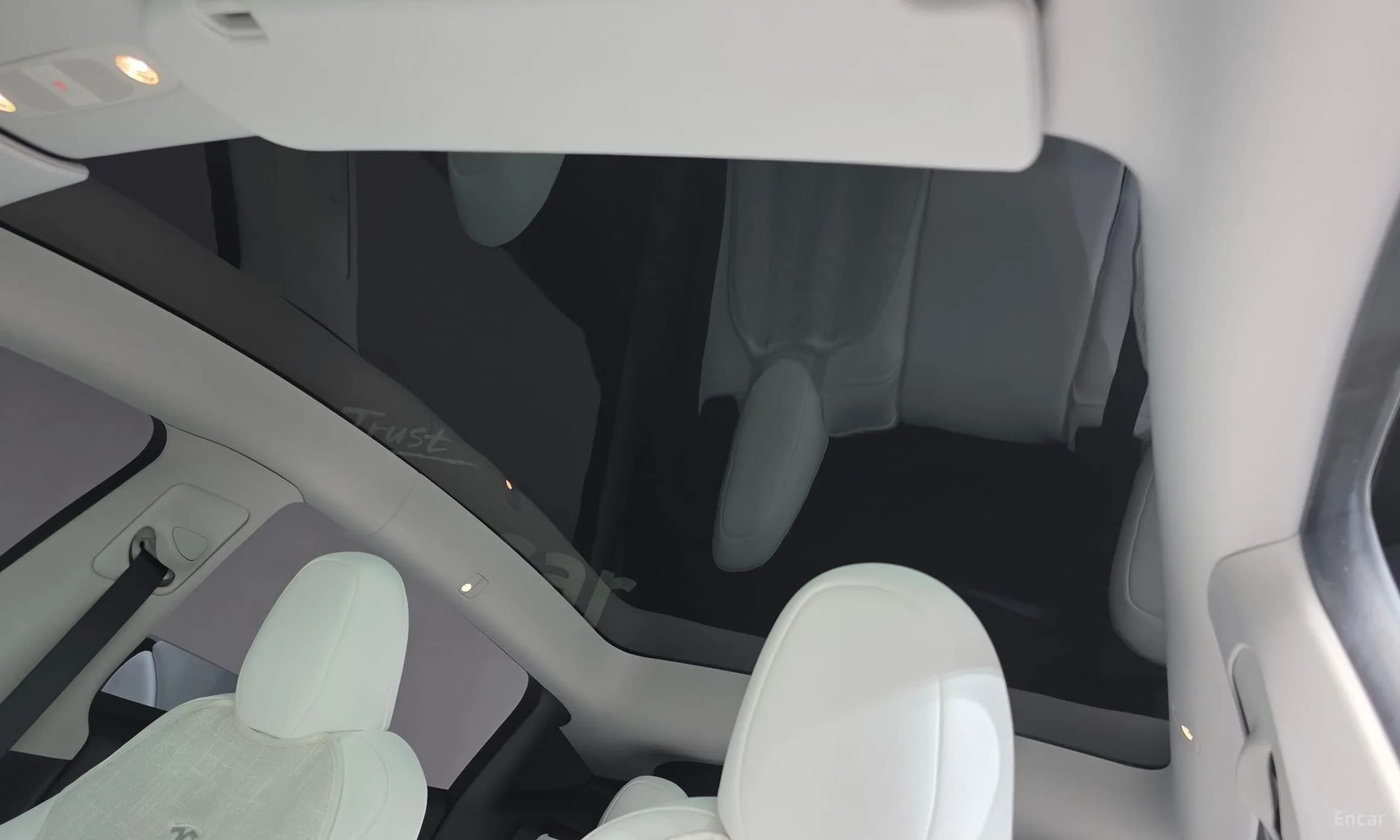 Model Y